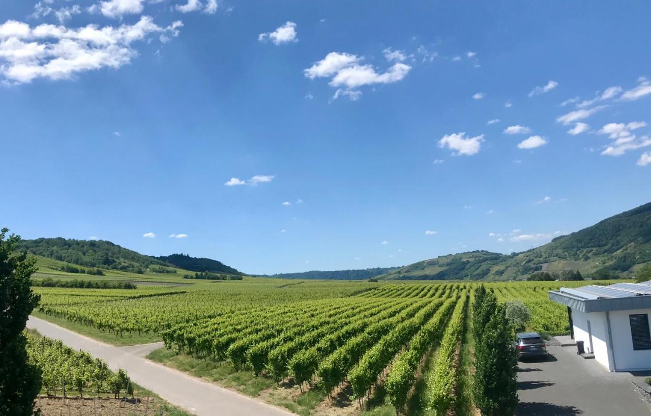 Weingut Gehlen-Cornelius Hotel Brauneberg Bagian luar foto