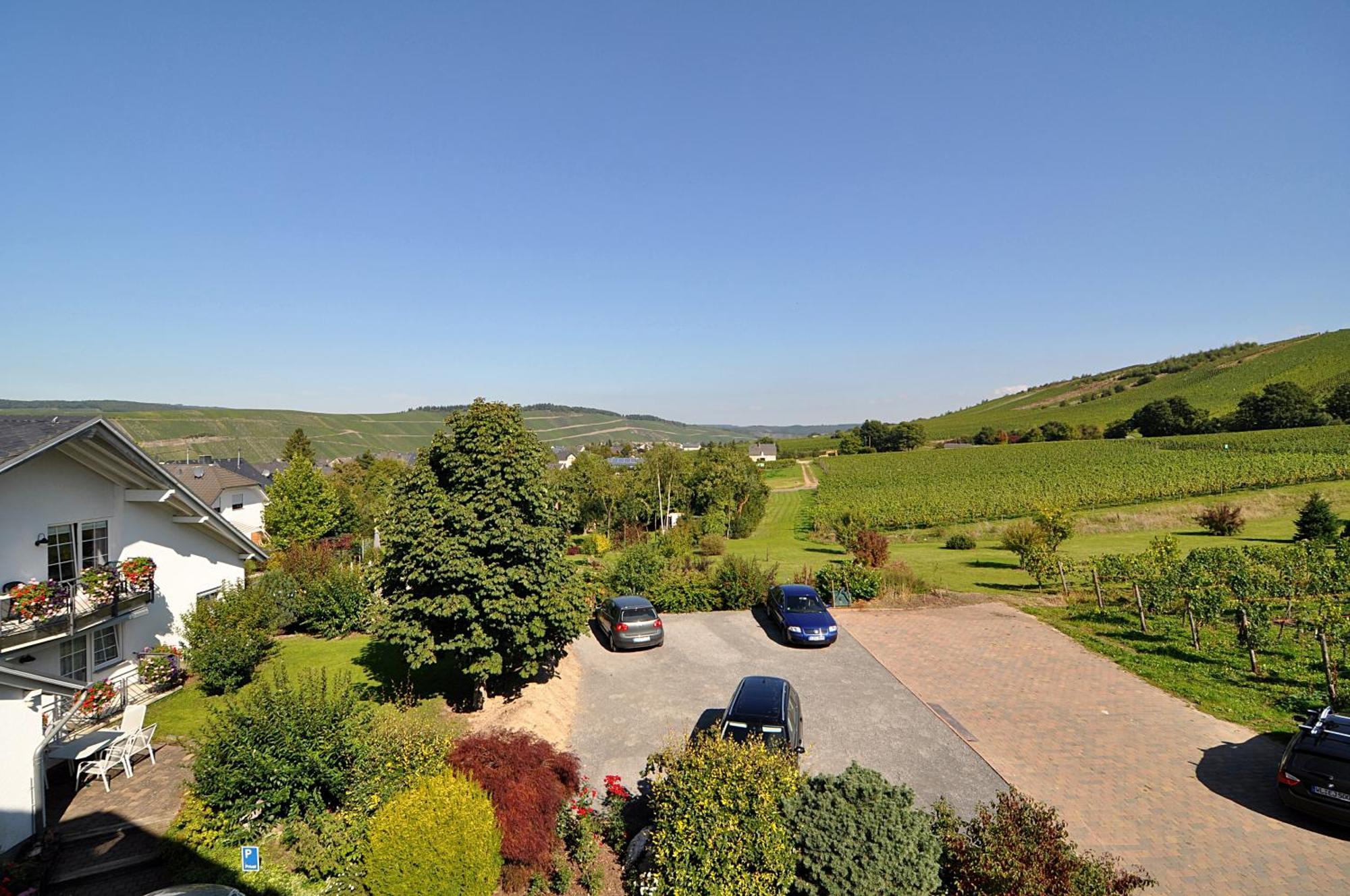 Weingut Gehlen-Cornelius Hotel Brauneberg Bagian luar foto