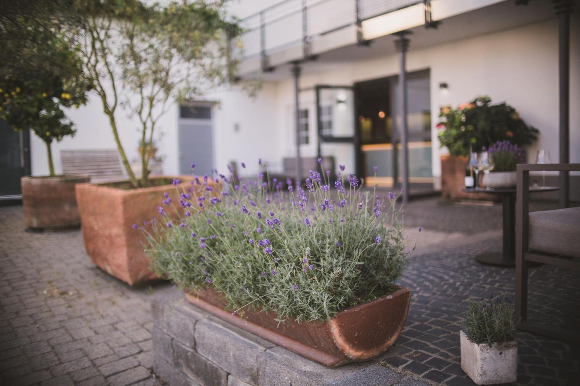 Weingut Gehlen-Cornelius Hotel Brauneberg Bagian luar foto
